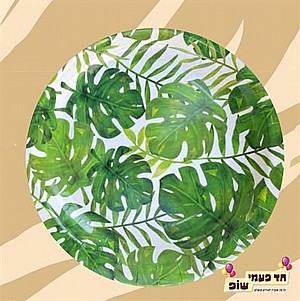 עלי ג'ונגל