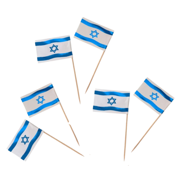6 קיסמי דגל ישראל